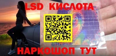apvp Аша