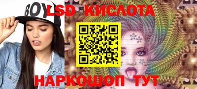 apvp Аша