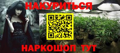 apvp Аша