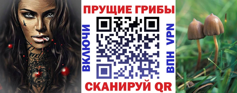Галлюциногенные грибы мицелий цены наркотик Ачинск