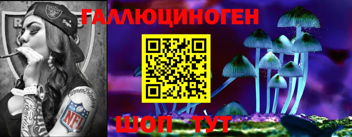 где купить   Псилоцибиновые грибы GOLDEN TEACHER  Вход с VPN  Ачинск 