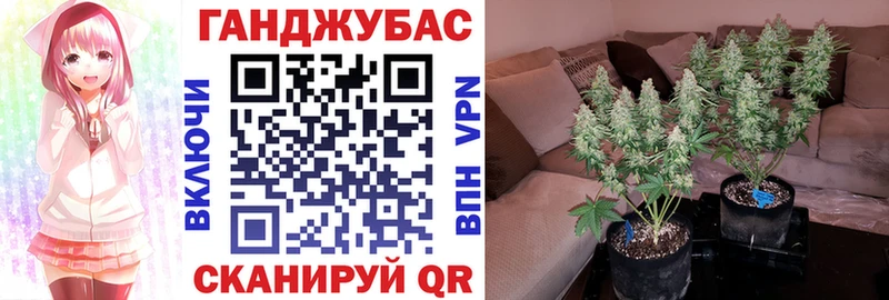 ОМГ ОМГ как зайти  shop телеграм  Конопля план  Ачинск 